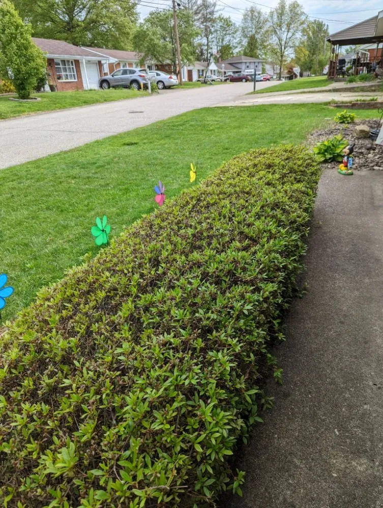 Reliable outdoor landscaping for residential properties across Ona, WV - A&C Lawn Care