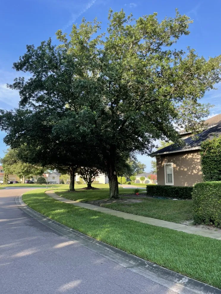 Professional landscape design for beautiful yards across Ocoee, FL - AC Lawn Services