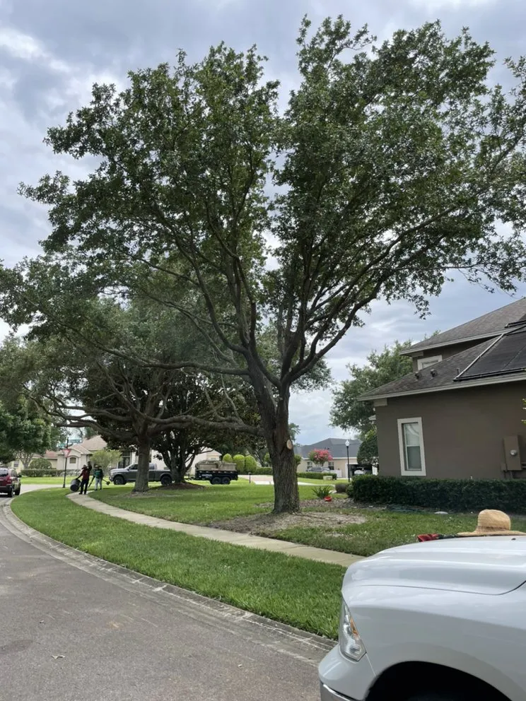 Reliable garden landscaping for outdoor upgrades in Ocoee, FL by AC Lawn Services