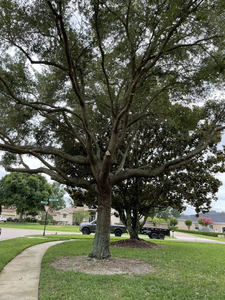 Top-rated lawn mowing service for homes across Ocoee, FL - AC Lawn Services