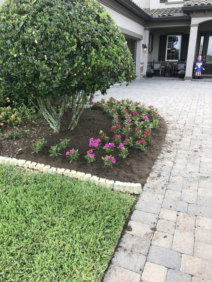 Top-rated yard cleanup service for beautiful yards across Ocoee, FL - AC Lawn Services