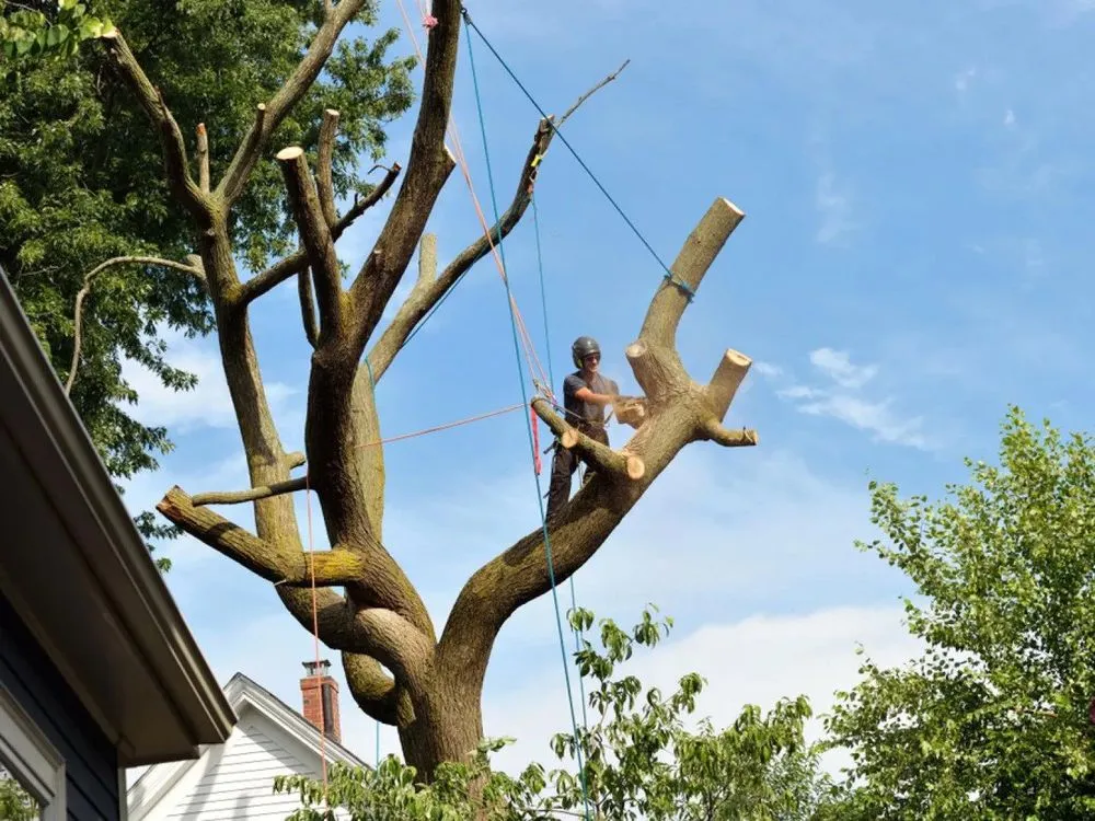 Top-rated landscape installation in Allentown, PA - A&C Lawnscaping