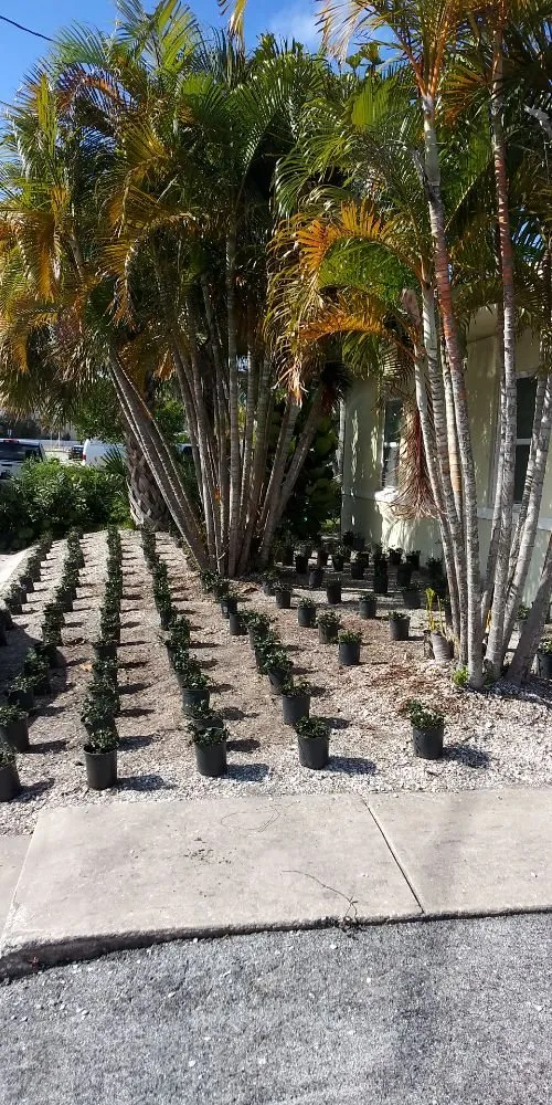 Reliable residential landscaping in Clearwater, FL by A&C Pavers and Landscaping