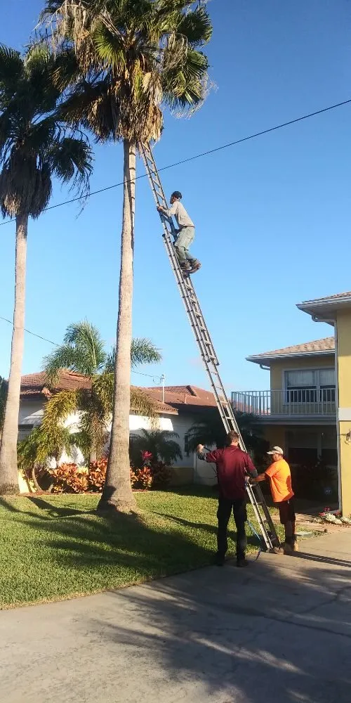 Local landscape installation experts serving Clearwater, FL - A&C Pavers and Landscaping