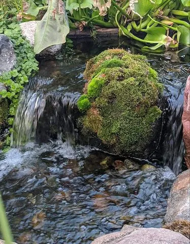 Professional outdoor landscaping experts serving Ankeny, IA - A&C Pondscapes