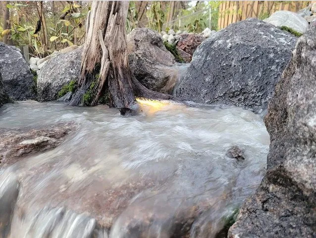 Reliable yard cleanup service in Ankeny, IA - A&C Pondscapes