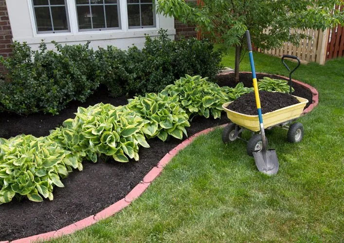 Affordable yard maintenance for beautiful yards in Statesboro, GA by A&C Property Service