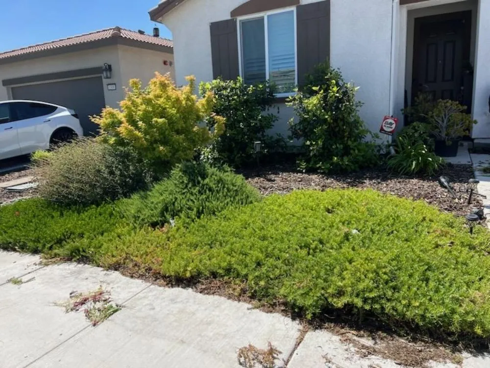 Top-rated landscape installation experts serving Stockton, CA - A&C Valley Landscaping