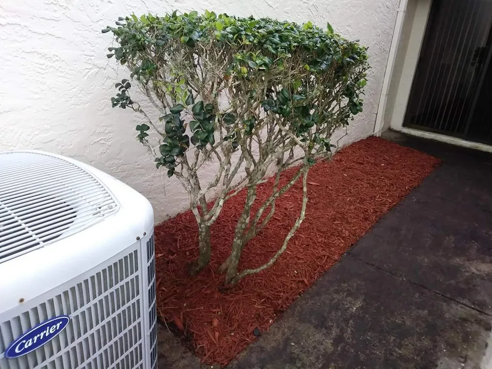 Custom lawn care service experts serving Ormond Beach, FL - ACA Landscaping