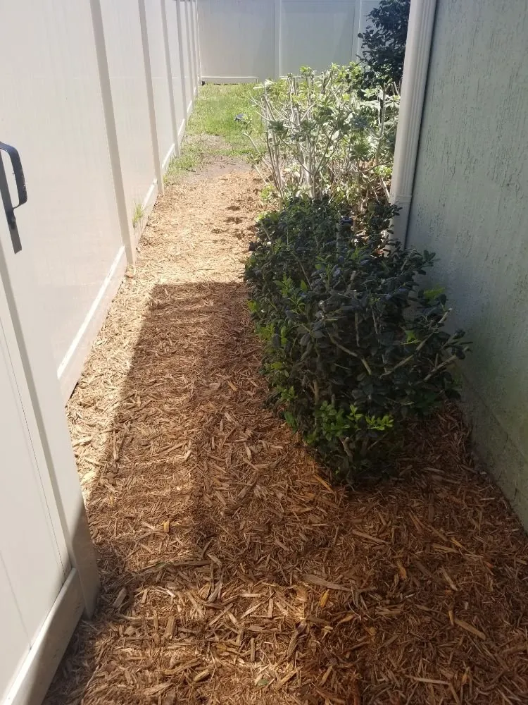 Professional lawn mowing service in Middleburg, FL by ACA Lawn & Landscape