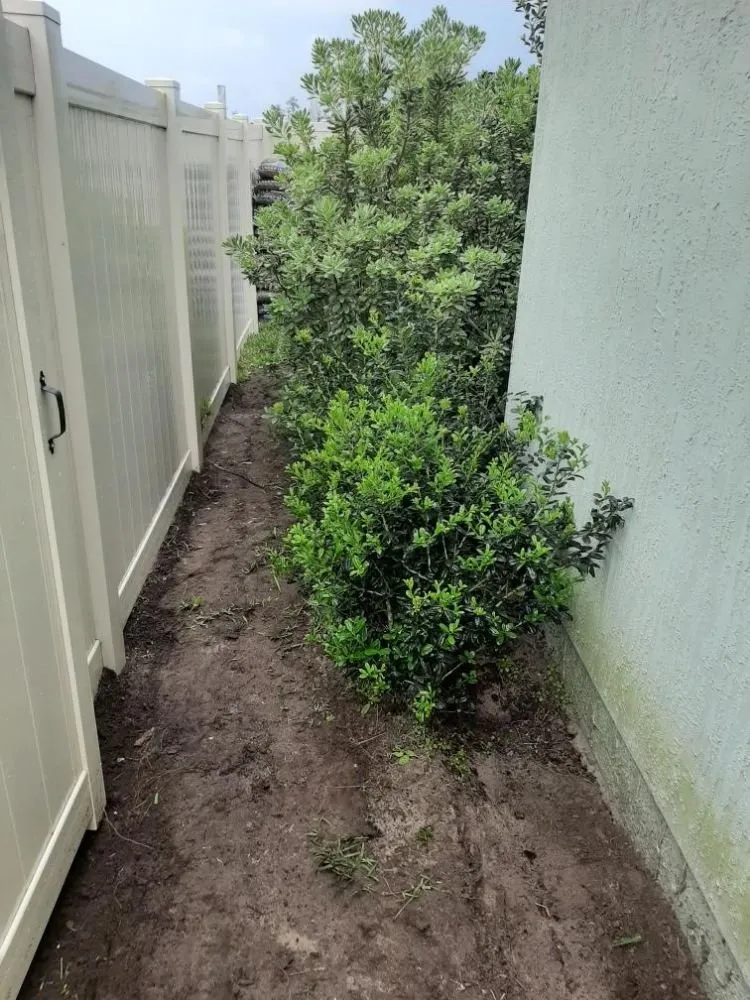 Expert lawn care service in Middleburg, FL - ACA Lawn & Landscape