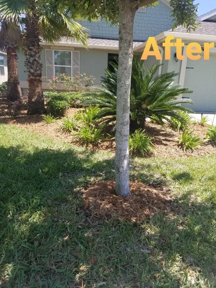 Reliable lawn mowing service experts serving Middleburg, FL - ACA Lawn & Landscape