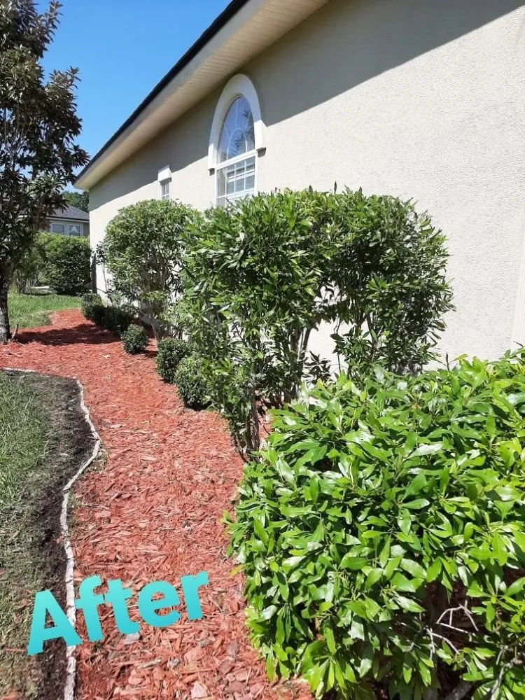 Expert landscaping services in Middleburg, FL - ACA Lawn & Landscape