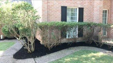 Expert landscape installation for year-round maintenance in Alvin, TX by ACA Lawn and Home Care