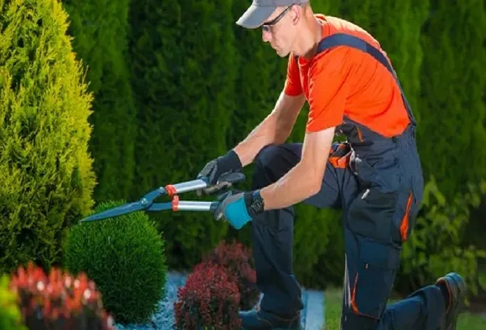 Custom landscaping services for residential properties across Alvin, TX - ACA Lawn and Home Care