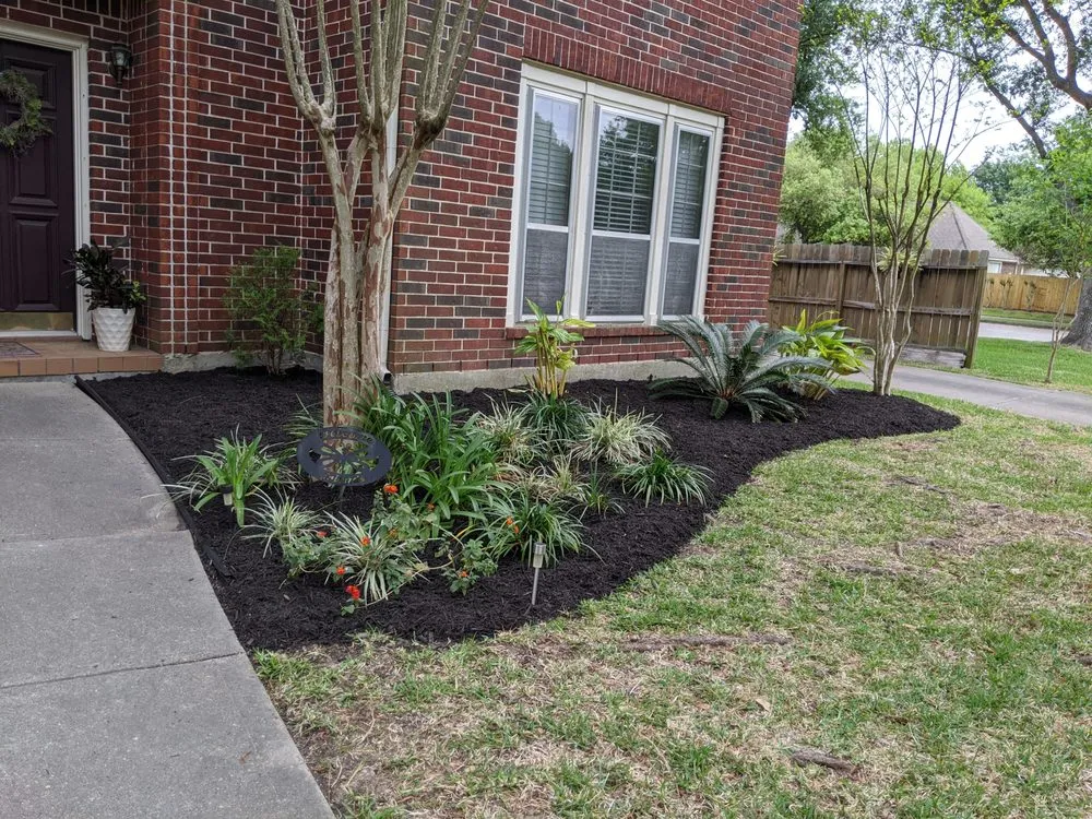 Reliable lawn care service near you across Alvin, TX - ACA Lawn and Home Care