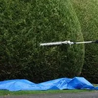 Professional landscape installation in Alvin, TX by ACA Lawn and Home Care