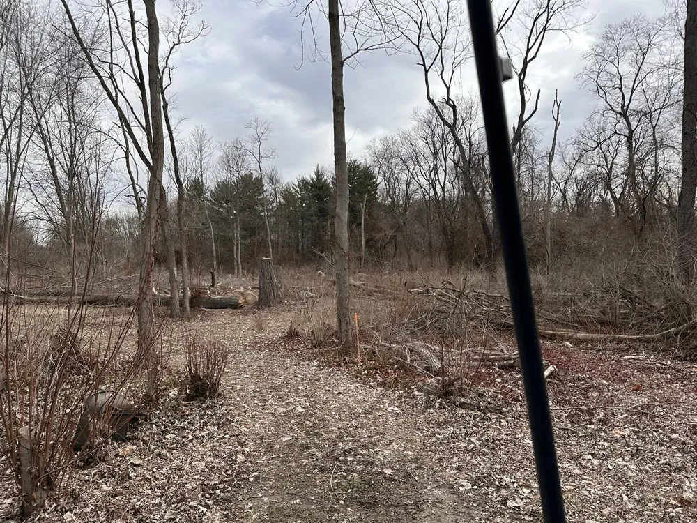 Top-rated lawn mowing service with custom design across Brownsburg, IN - ACA Solution