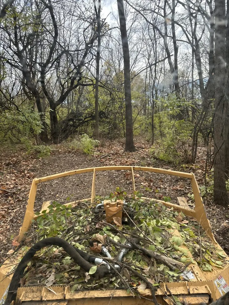 Custom yard maintenance with custom design across Brownsburg, IN - ACA Solution