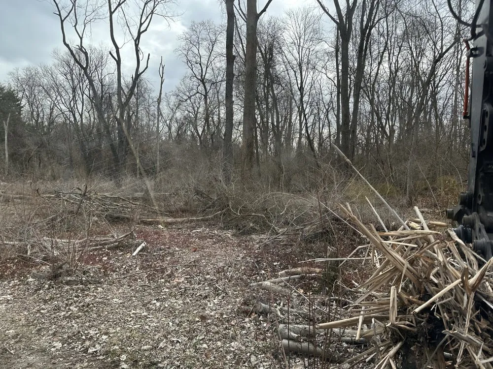 Top-rated landscaping services for homes in Brownsburg, IN by ACA Solution