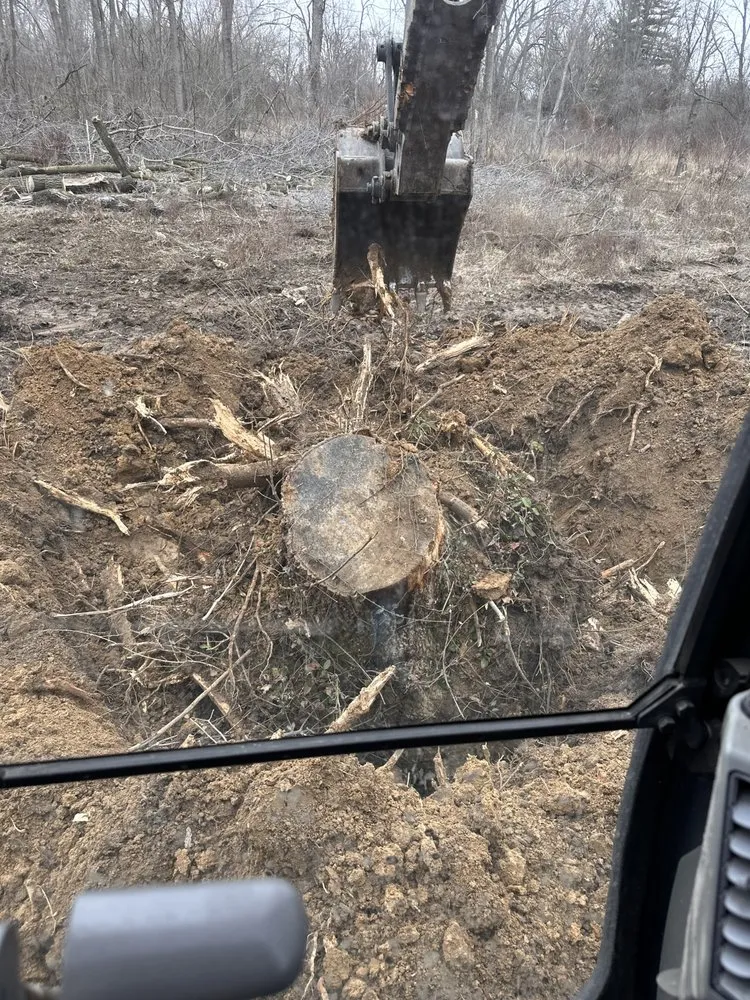 Trusted yard cleanup service for year-round maintenance in Brownsburg, IN by ACA Solution