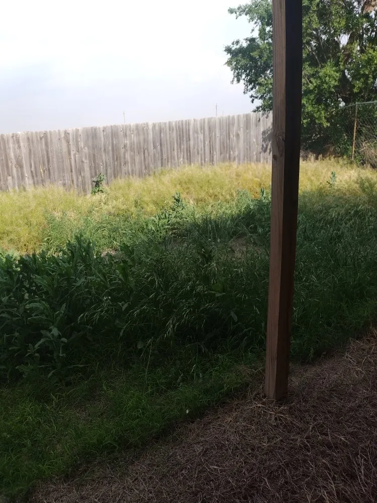 Affordable yard maintenance in Lubbock, TX - ACAB Enterprises