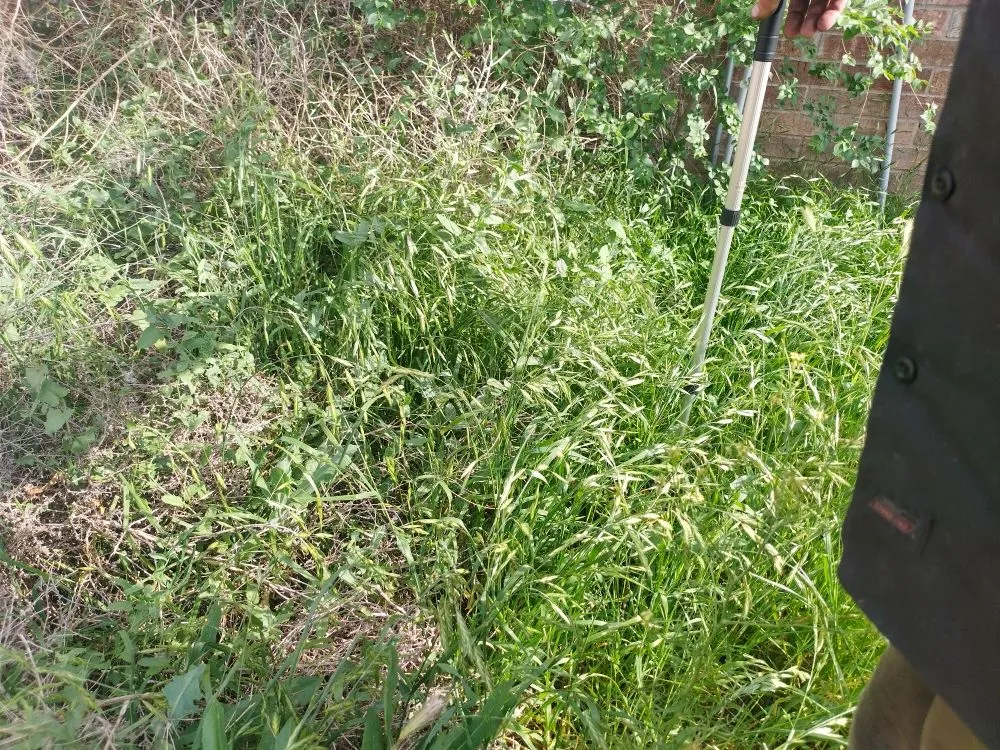 Professional yard cleanup service in Lubbock, TX by ACAB Enterprises