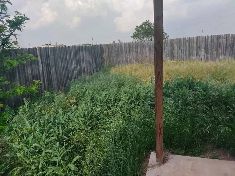 Affordable lawn care service in Lubbock, TX by ACAB Enterprises