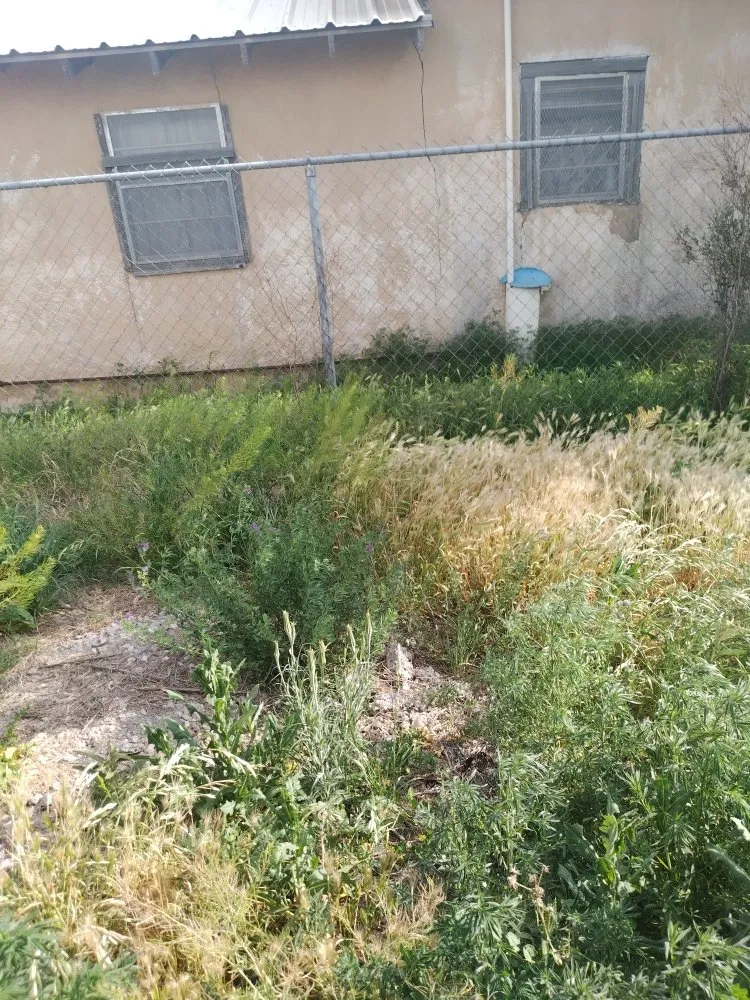 Professional residential landscaping experts serving Lubbock, TX - ACAB Enterprises