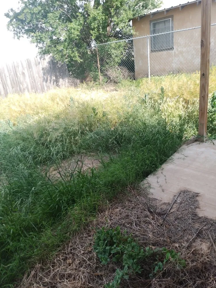 Expert residential landscaping in Lubbock, TX by ACAB Enterprises