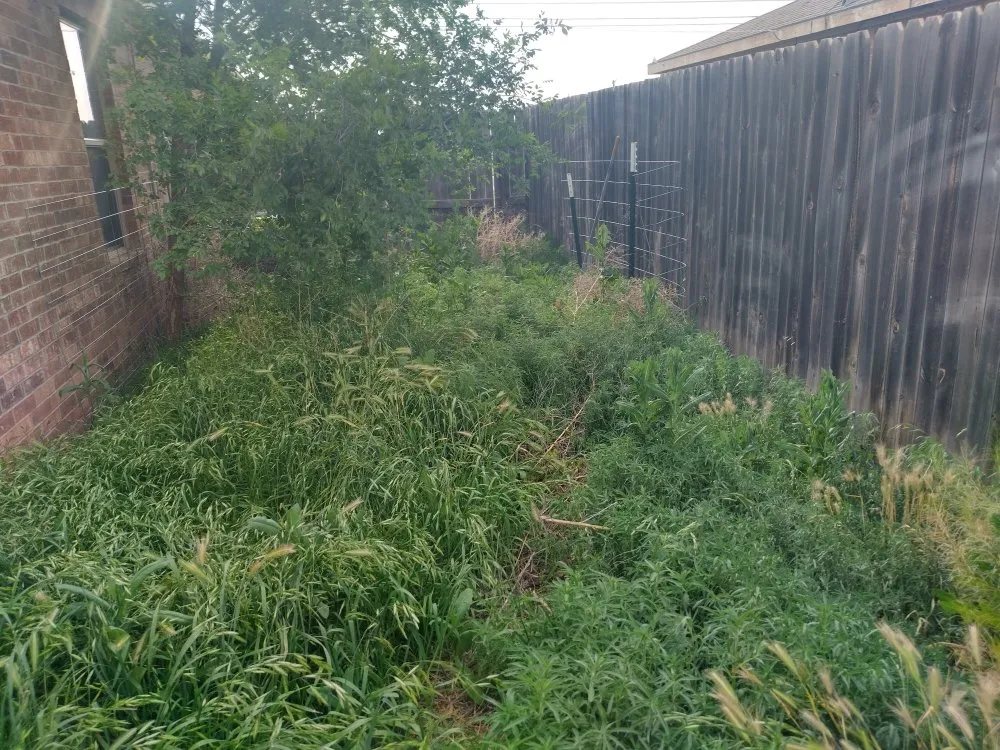 Expert landscaping services in Lubbock, TX - ACAB Enterprises