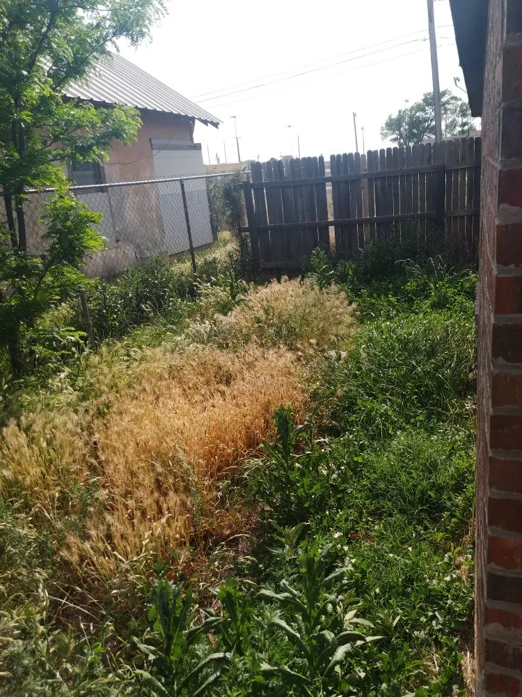 Expert garden landscaping experts serving Lubbock, TX - ACAB Enterprises