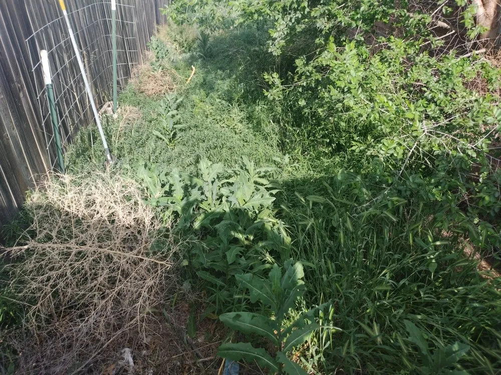 Affordable yard cleanup service for residential properties across Lubbock, TX - ACAB Enterprises