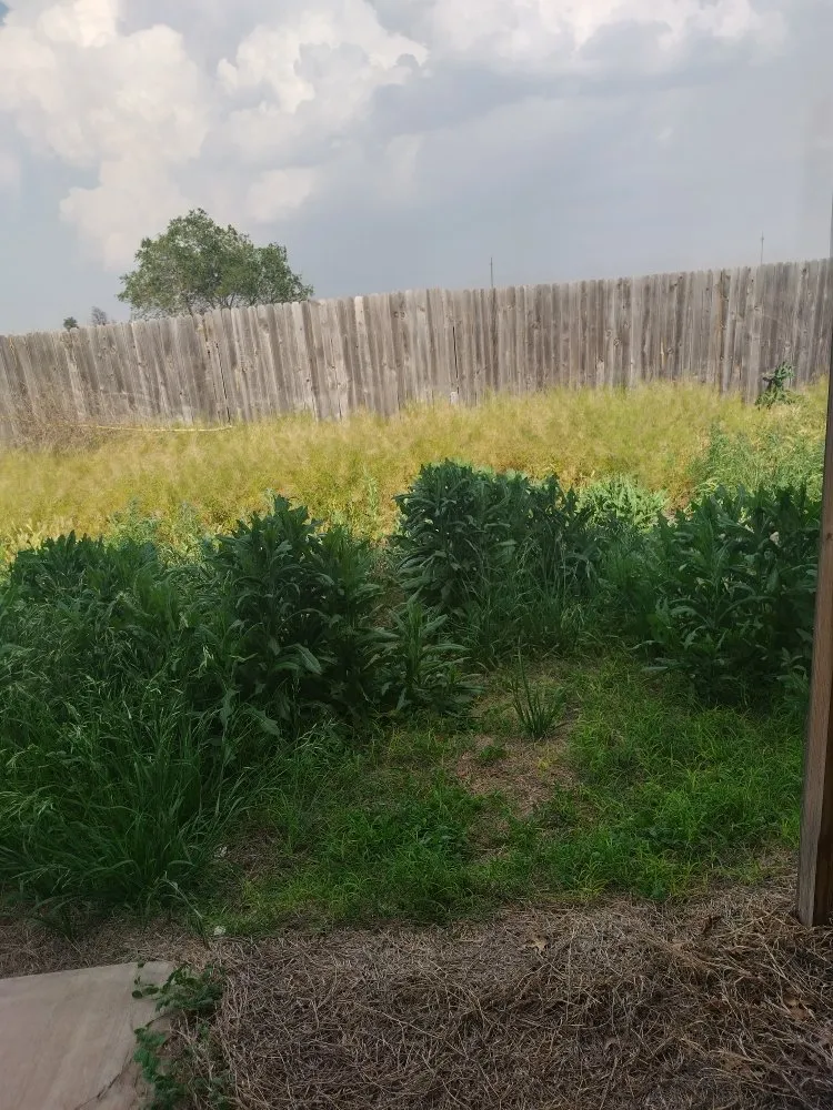 Professional residential landscaping experts serving Lubbock, TX - ACAB Enterprises