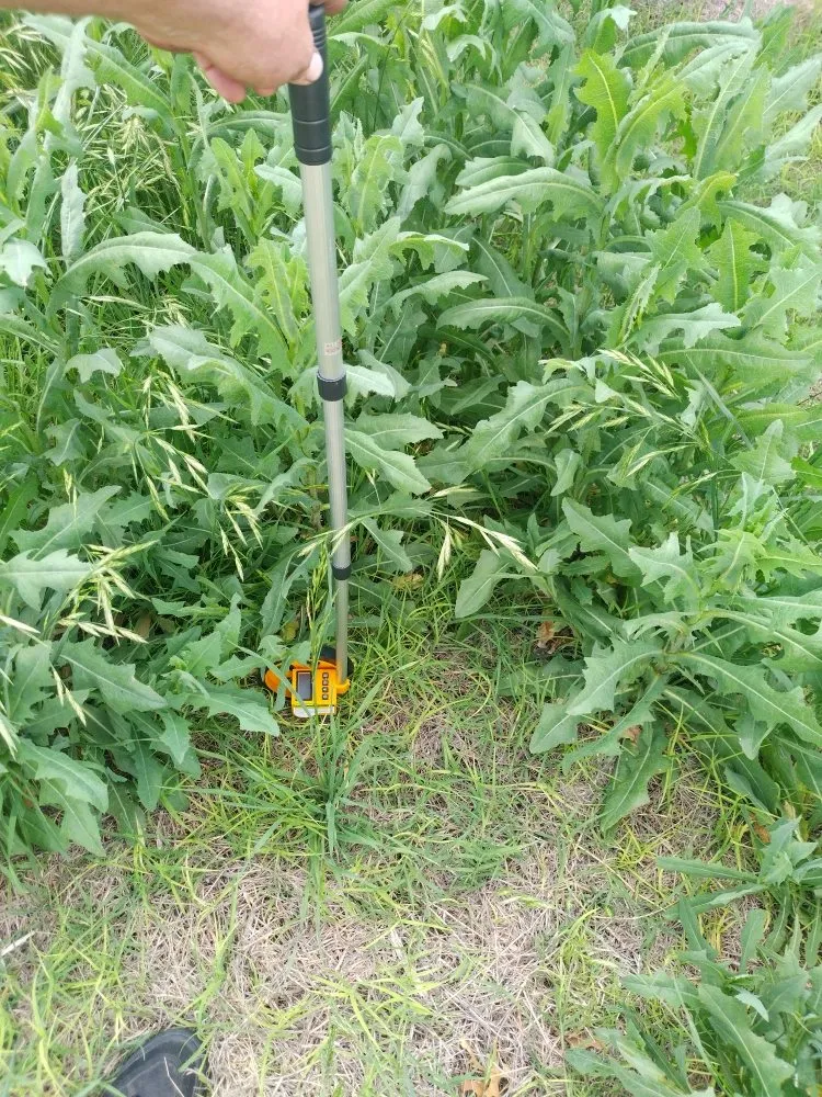 Top-rated outdoor landscaping for homes across Lubbock, TX - ACAB Enterprises