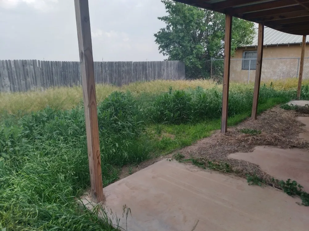 Custom yard maintenance for beautiful yards across Lubbock, TX - ACAB Enterprises