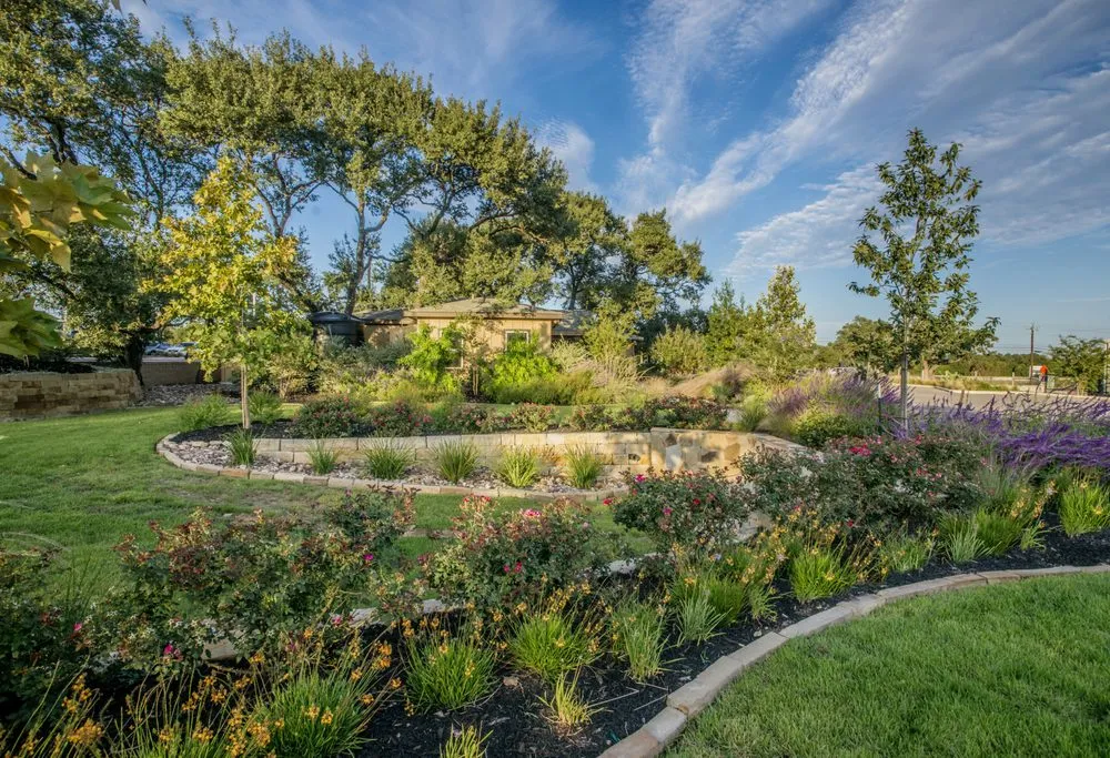 Affordable yard cleanup service experts serving San Antonio, TX - Acacia Landscape & Design