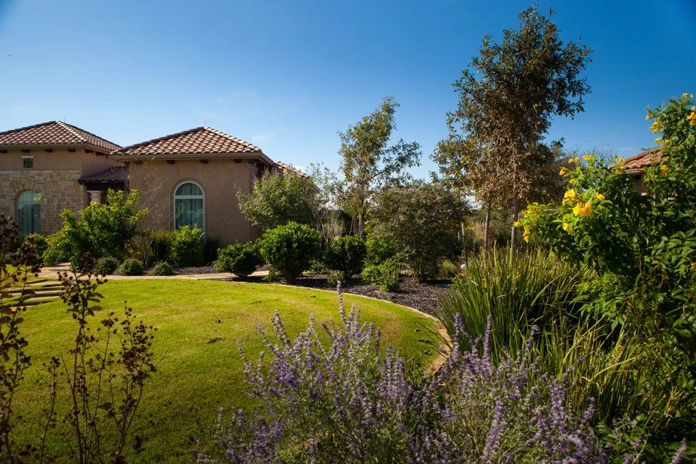 Custom outdoor landscaping in San Antonio, TX by Acacia Landscape & Design