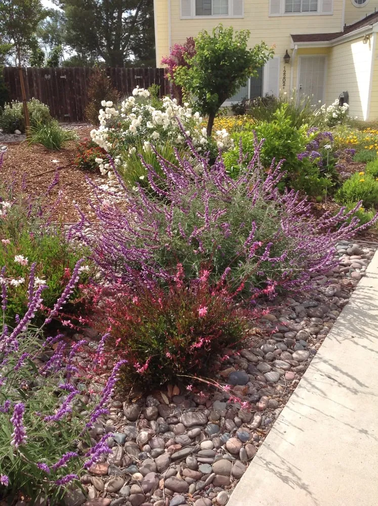 Expert residential landscaping experts serving Poway, CA - Acacia Landscape Services of San Diego Inc