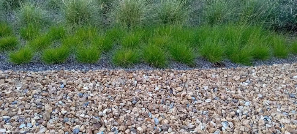 Top-rated landscaping services experts serving San Jose, CA - Acacia Landscaping Services