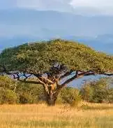 Expert landscape design experts serving Marlborough, MA - Acacia Property Management