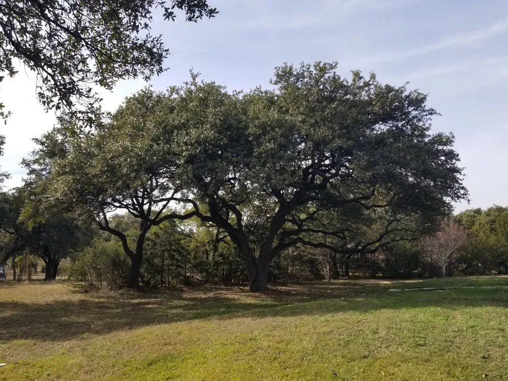 Reliable garden landscaping for homes across Cedar Park, TX - Acacia Tree Care