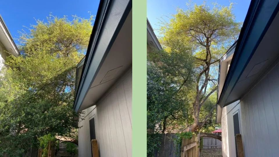 Expert lawn mowing service in Cedar Park, TX - Acacia Tree Care