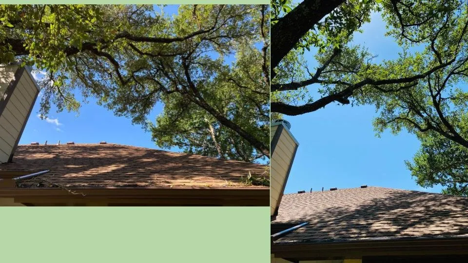 Reliable yard maintenance experts serving Cedar Park, TX - Acacia Tree Care