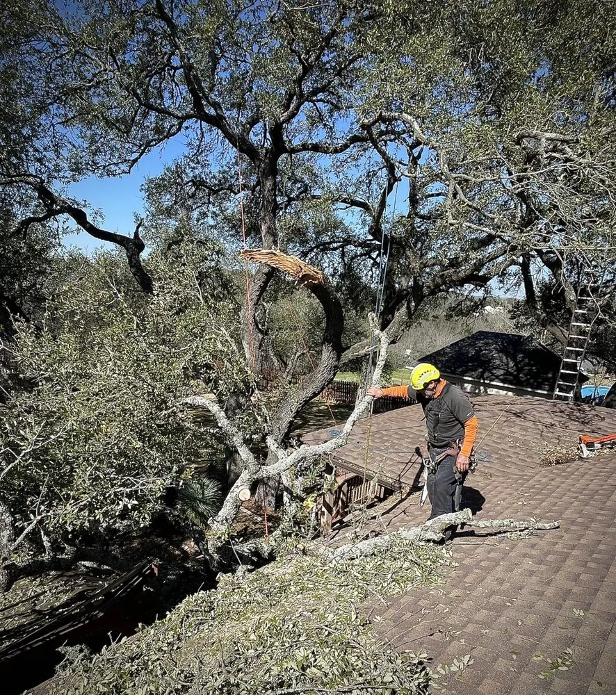 Affordable landscape installation for year-round maintenance in Cedar Park, TX by Acacia Tree Care