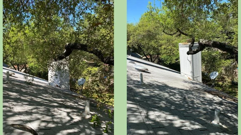 Custom landscape installation for homes in Cedar Park, TX by Acacia Tree Care