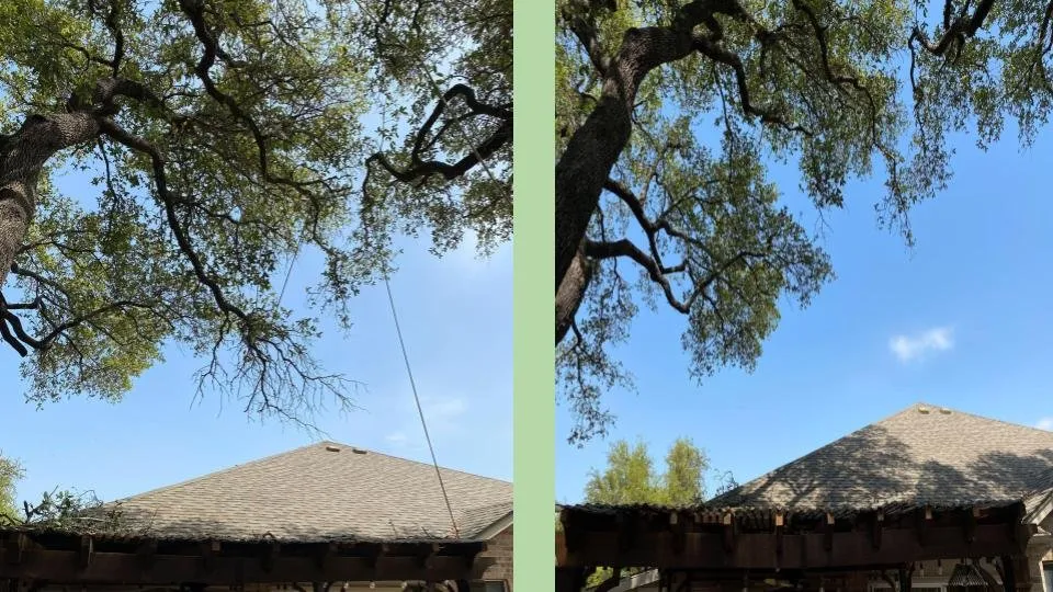 Expert residential landscaping experts serving Cedar Park, TX - Acacia Tree Care