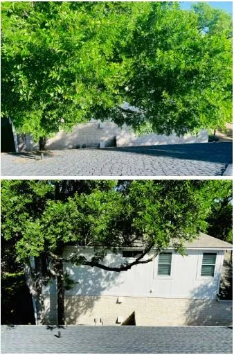Local landscape design experts serving Cedar Park, TX - Acacia Tree Care
