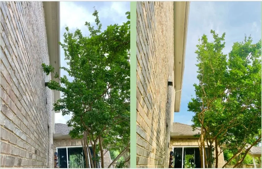 Reliable landscape design for outdoor upgrades in Cedar Park, TX by Acacia Tree Care