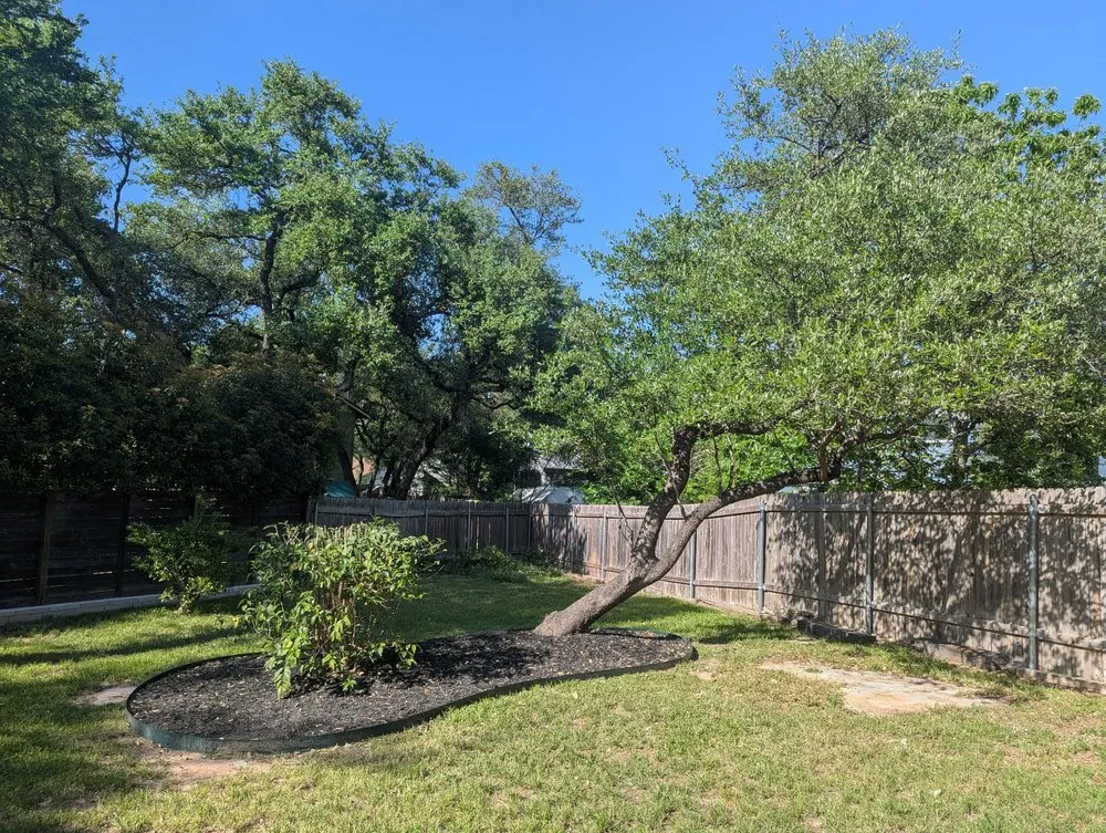 Custom outdoor landscaping experts serving Cedar Park, TX - Acacia Tree Care